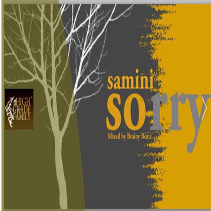 Samini Sorry Justin Bieber Cover Mixed By Brainy Beatz
