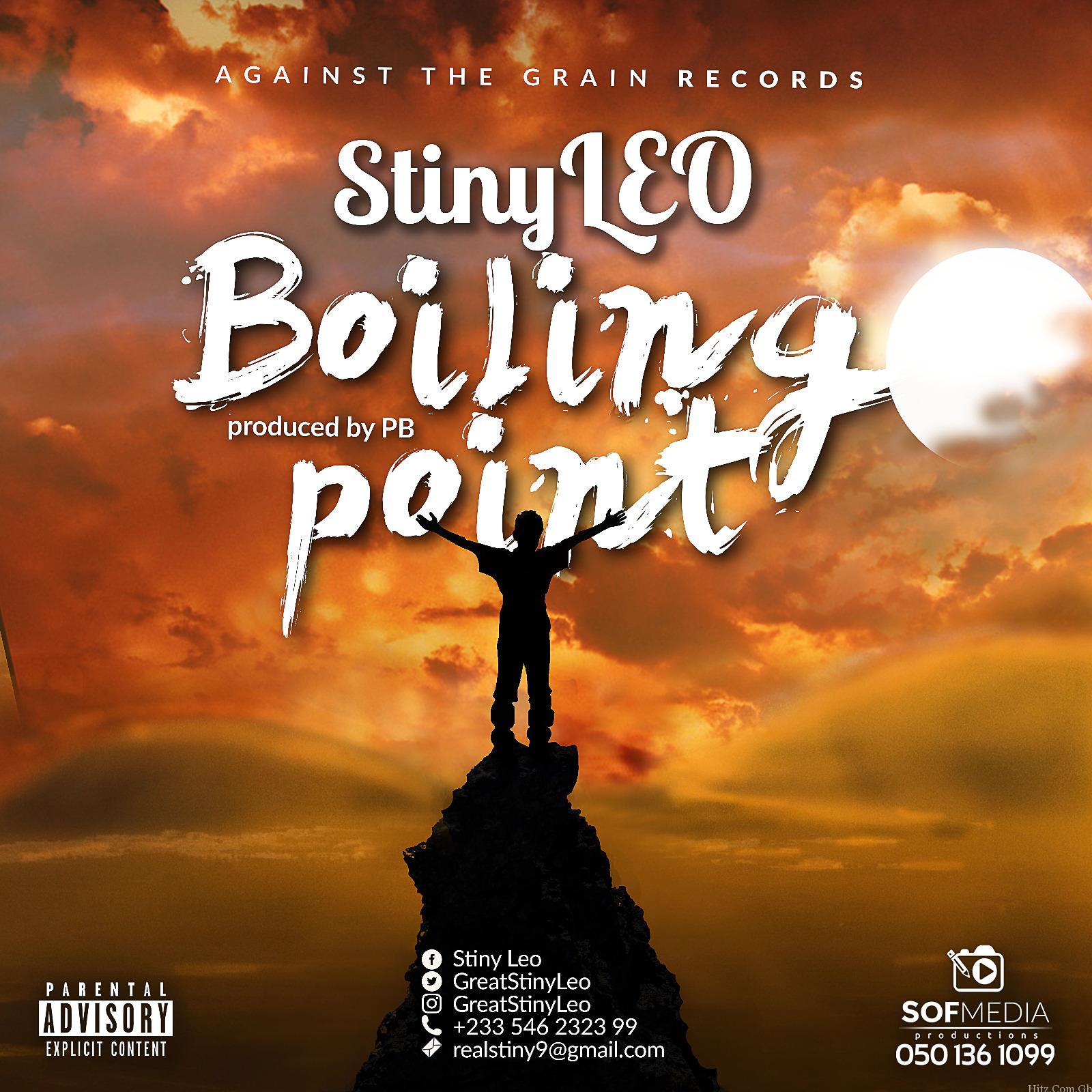 Stiny Leo Boiling Point Prod