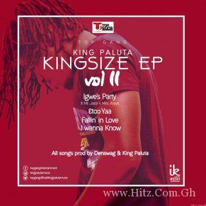 King Paluta - Kingsize Ep Vol. Ii 2 Kingsize Ep