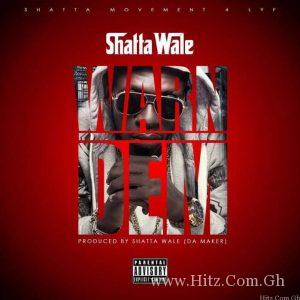 Shatta Wale Warn Dem