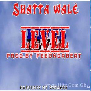 Shatta Wale Level Prod By Pee On Da Beat