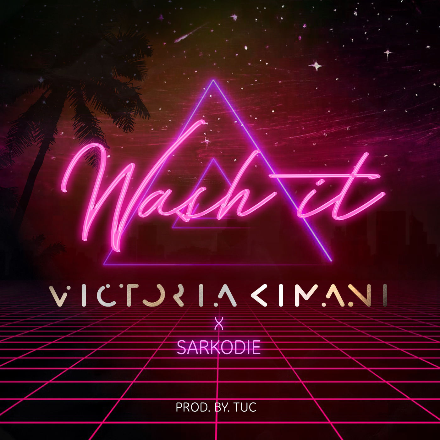 Victoria Wash it art