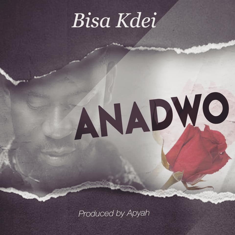 Bisa Kdei – Anadwo Prod. By Apya