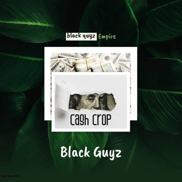 Black Guyz Cash Crop