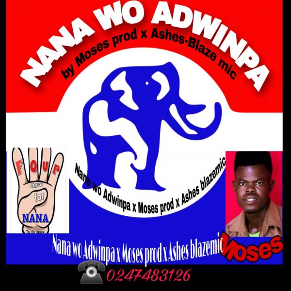 Moses Nana Wo Adwinpa