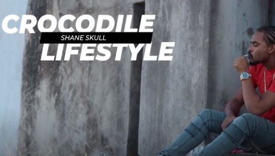 Masicka x Shane Skull – Crocodile Lifestyle