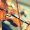 Four Good Habits to Acquire Once you Start Violin Lessons