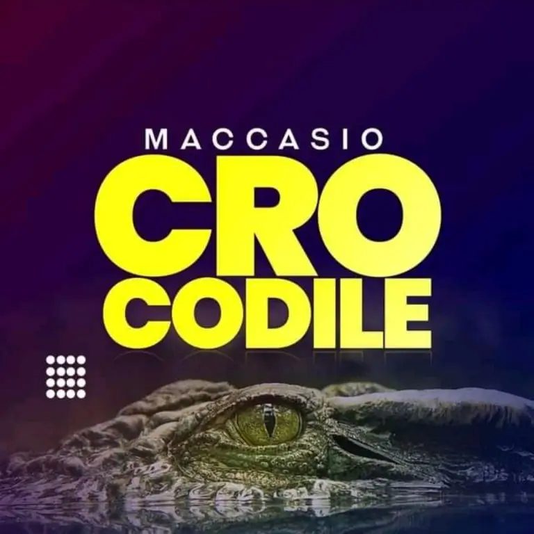 Maccasio Crocodile