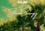 Shatta Wale – Storm Energy