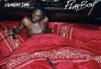 Fireboy Dml Playboy