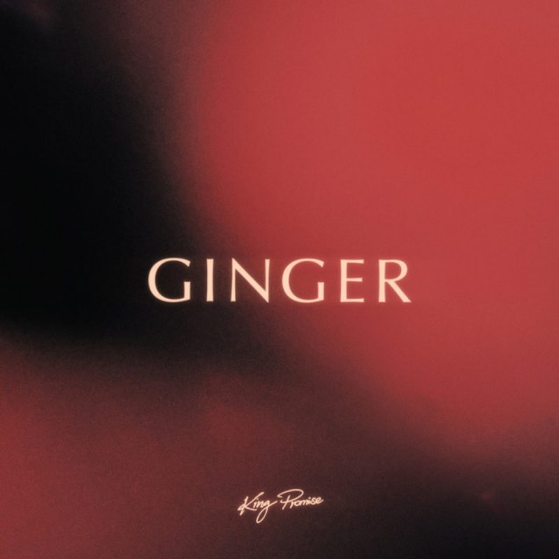King Promise – Ginger (Prod. By Jae5)