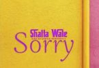 Shatta Wale Sorry