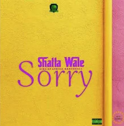 Shatta Wale Sorry