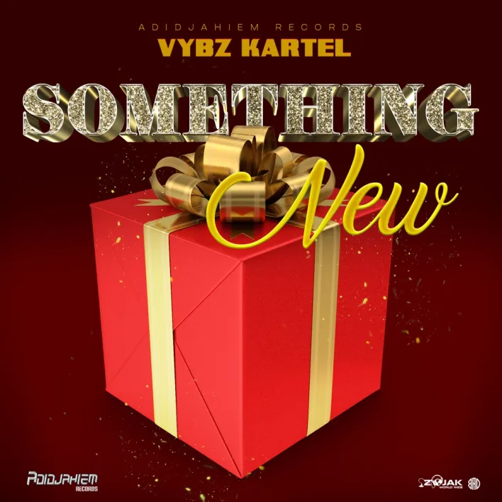 Vybz Kartel Something New