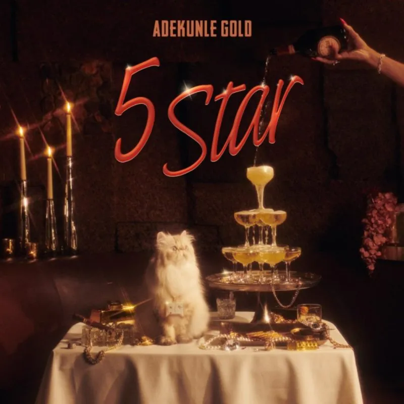 Adekunle Gold 5 Star Beatsgh Com Mp3 Image