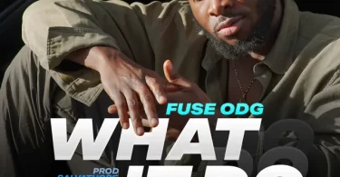 Fuse Odg What It Do Afromusik