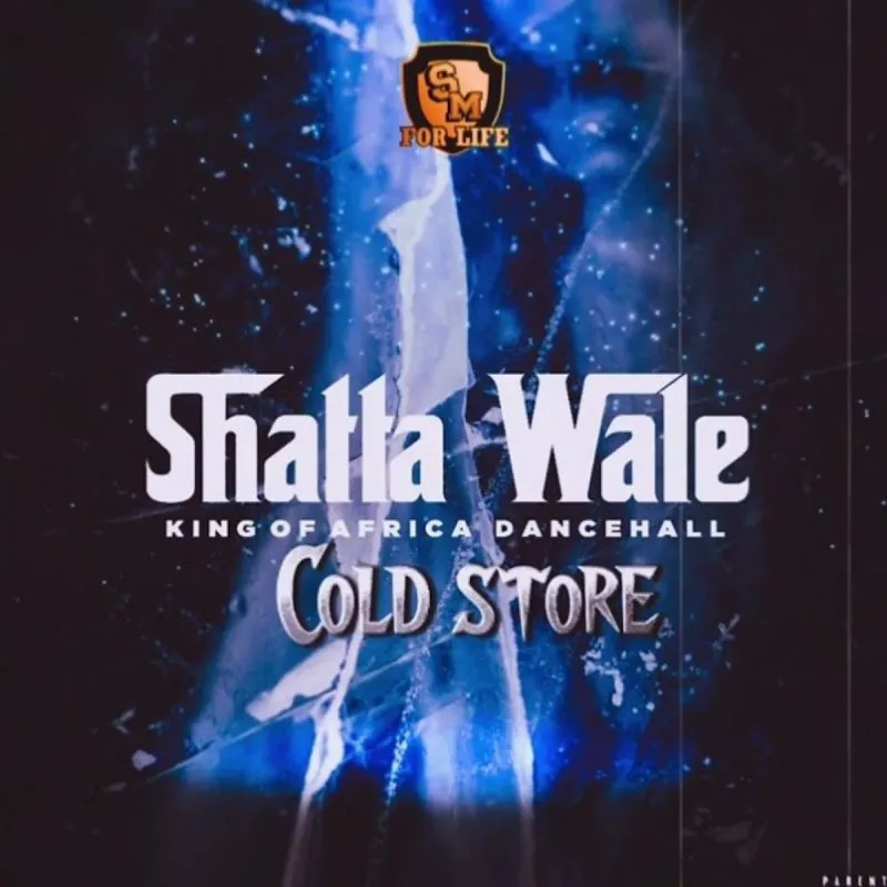 Shatta Wale Cold Store Beatsgh Com Mp3 Image