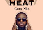 Guru Nkz Heat