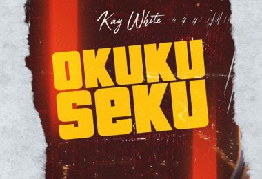 Kay White Okukuseku Cover
