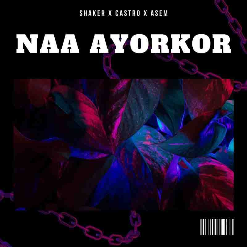 Shaker Naa Ayorkor