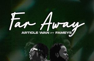Article Wan – Far Away