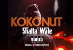 Shatta Wale – Kokonut