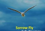 Safo Newman – Sorrow Fly