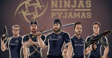 Ninjas In Pi