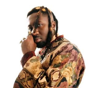Amerado – Switch Freestyle 2 Amerado – Switch Freestyle