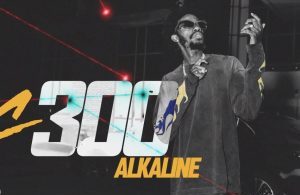 Alkaline – C300
