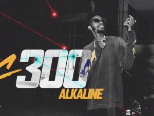 Alkaline – C300 2 Alkaline – C300