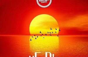 No Nation Gang - Eban Ft Kwesi Amewuga