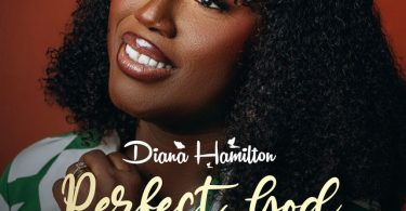 Diana Hamilton – Perfect God
