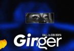 Don Bonya - Ginger Ft Ball J