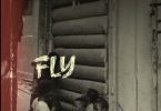 Kwesi Amewuga – Fly