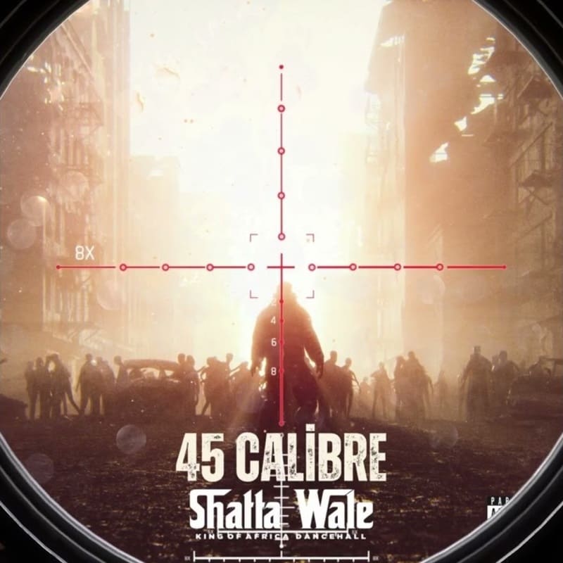 Shatta Wale – 45 Calibre