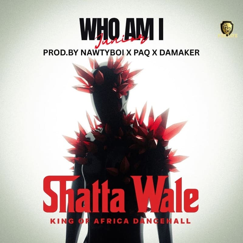 Shatta Wale – Who Am I