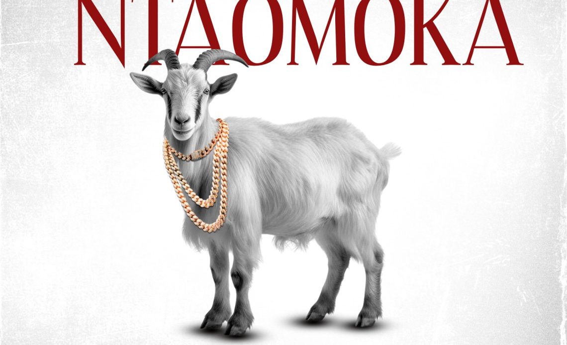 Devrix Da Fubu - Ntaomoka