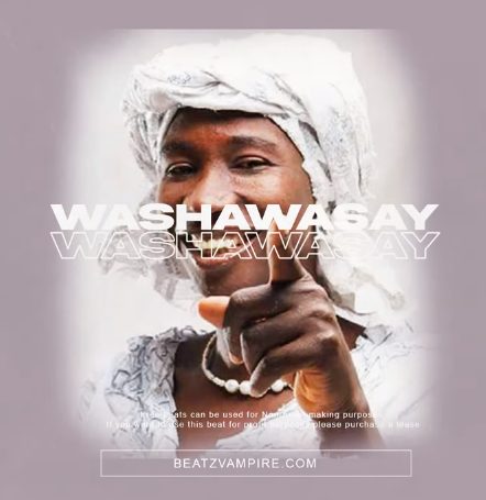 Cecelia Marfo Hook Washawasay x Tiktok Type beat (Prod by Beatz Vampire) 4 Cecelia Marfo Hook Washawasay