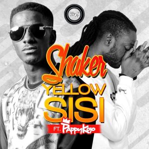 Shaker - Yellow Sisi Ft. Pappy Kojo
